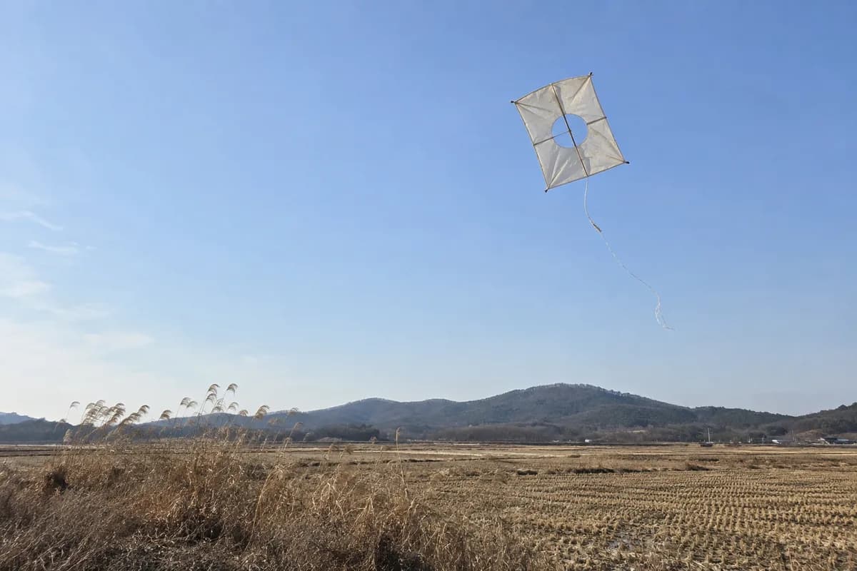 2026년 삼재운을 가볍게 넘긴다는 뜻을 담은 실이 끊겨 겨울 하늘로 멀어지는 액막이연 kite released