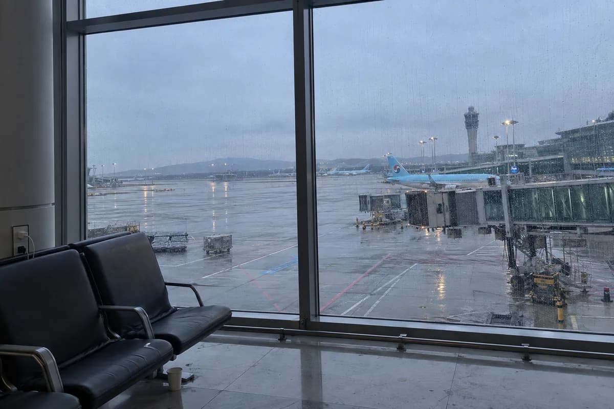 사주에 맞는 해외여행지를 고민하며 바라보게 되는 이른 아침 공항 활주로 창가