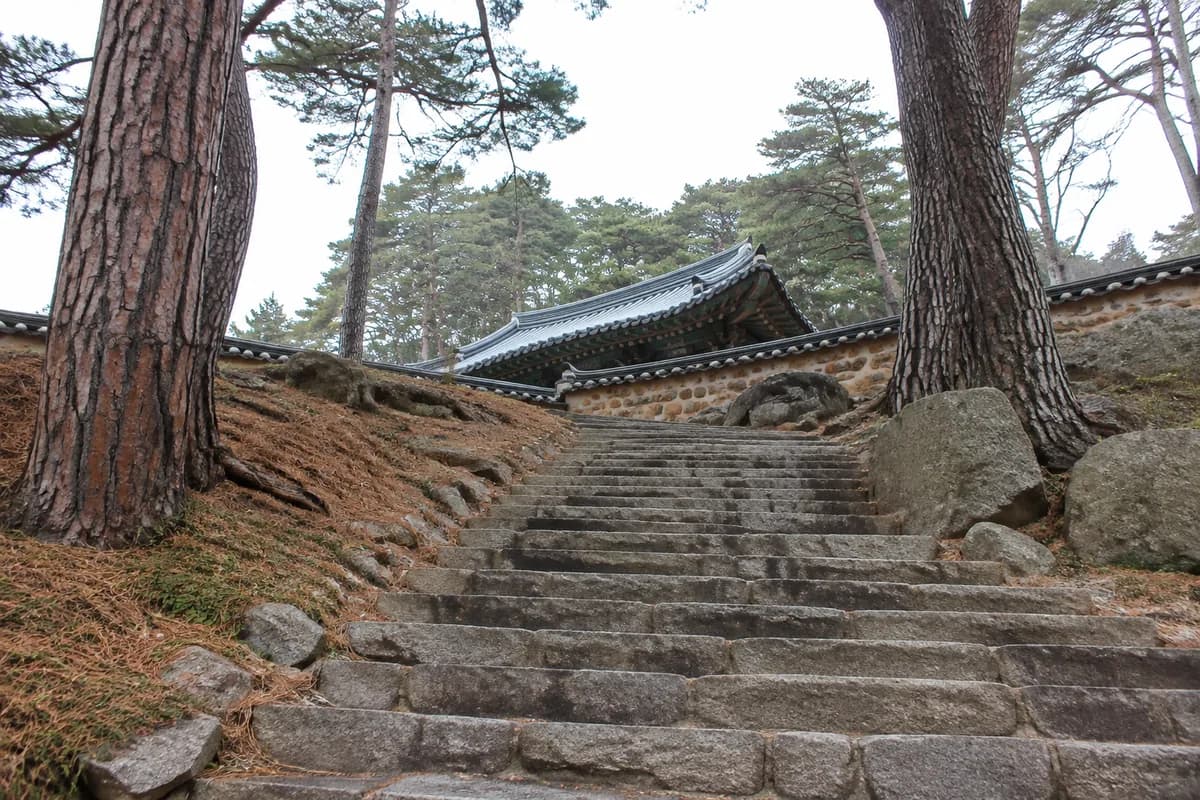 흐린 날 낮에 산길 돌계단 위로 재물운 사찰의 기와지붕이 보이는 wide shot
